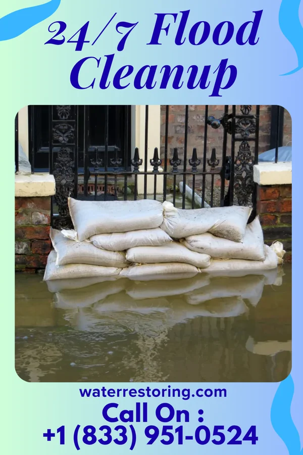 24/7 Flood Cleanup in Hewitt, MN