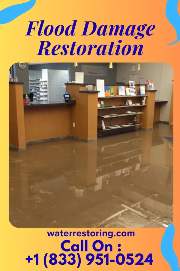 Flood Damage Restoration in Hewitt, MN