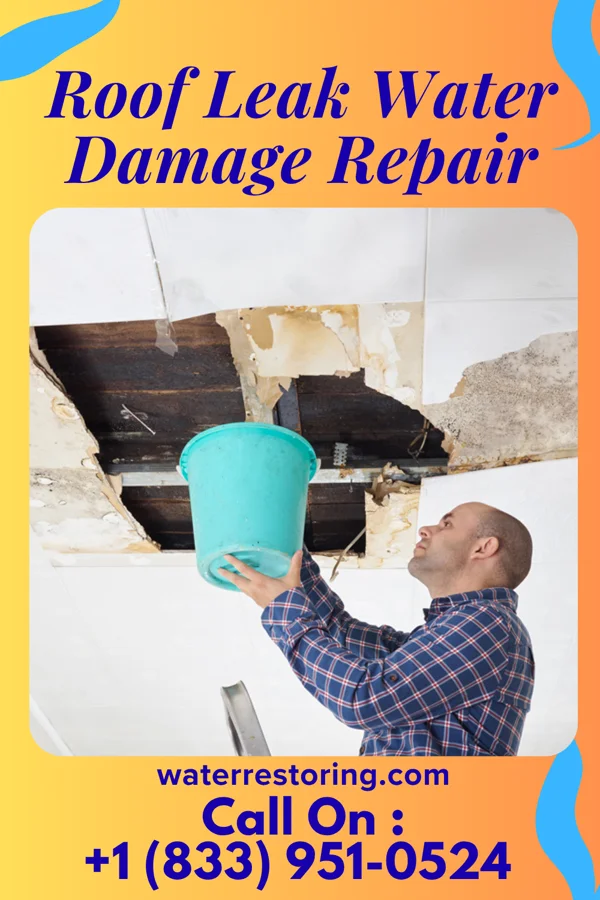 Roof Leak Water Damage Repair in Hewitt, MN